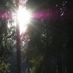 impressionen1-Hohenleimbach