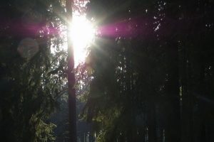 impressionen1-Hohenleimbach