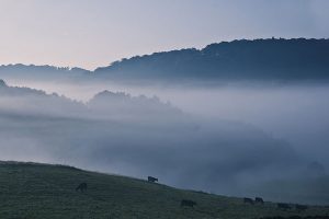 impressionen10-Hohenleimbach