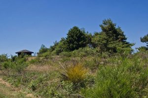 impressionen14-Hohenleimbach
