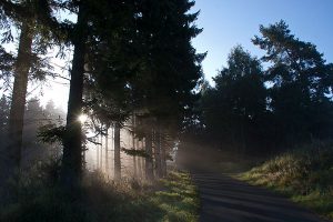 impressionen7-Hohenleimbach